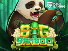 Bingo casino games94